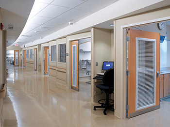 Architects are tasked with designing areas that meet privacy controls, but are also still safe and allow for discreet or full observation by health care personnel.